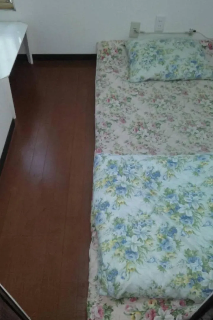 Appartamento Nihonzutsumi Guesthouse Private Room Tokyo